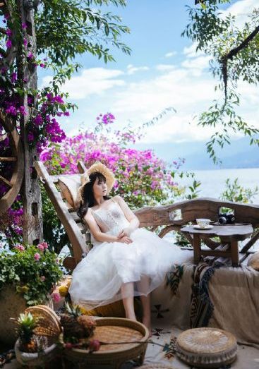 藏海花电视剧在线观看平台